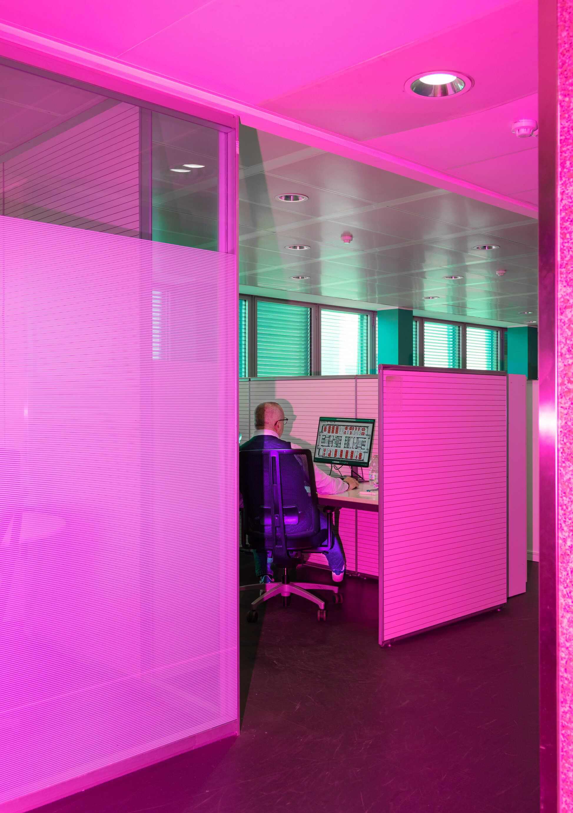 Rethinking our relationship with work